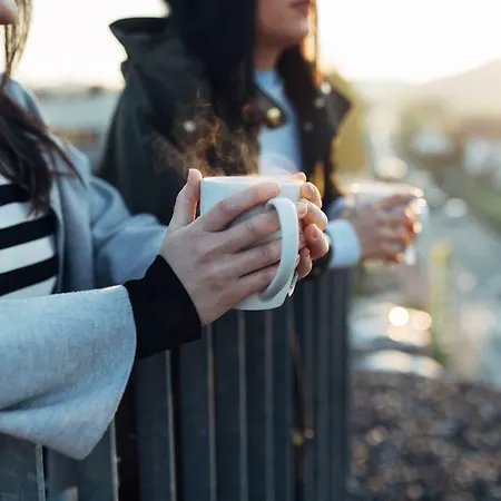 Harry's Hart Bei & 3*