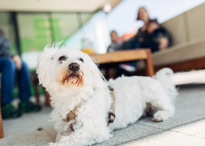 Harry's Hart Bei & Hotel 3*